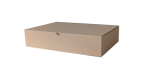 Klappdeckelkarton DHL klein 348 x 246 x 79 mm Päckchen Versandkarton Schachtel Kiste